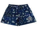 Eric Emanuel EE Navy Pasley Short (SS2025)